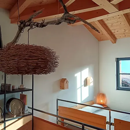 Nest Dom wakacyjny Gravedona