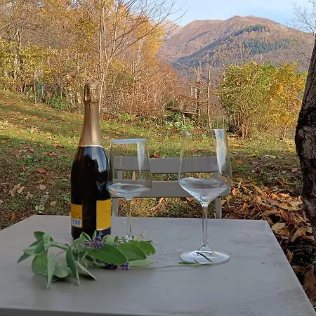 Nest Casa vacanze Gravedona