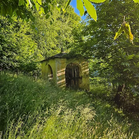 Nest Holiday home Gravedona